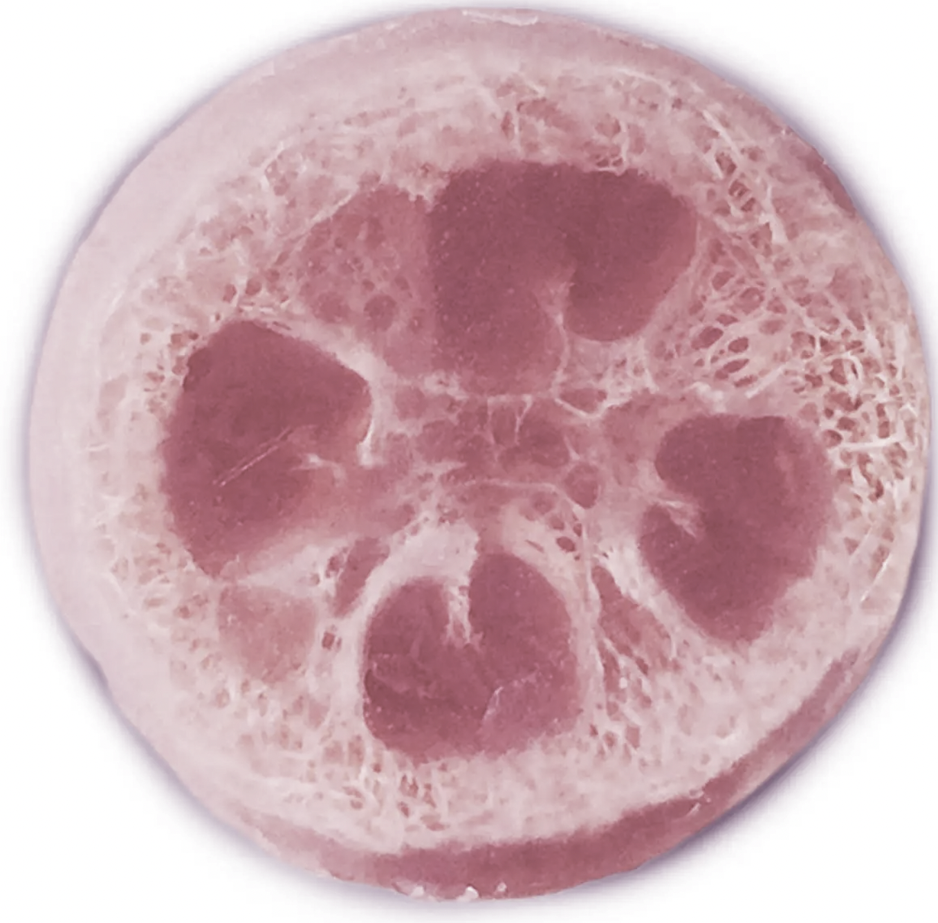 Loofah Soap - Lavender Patchouli