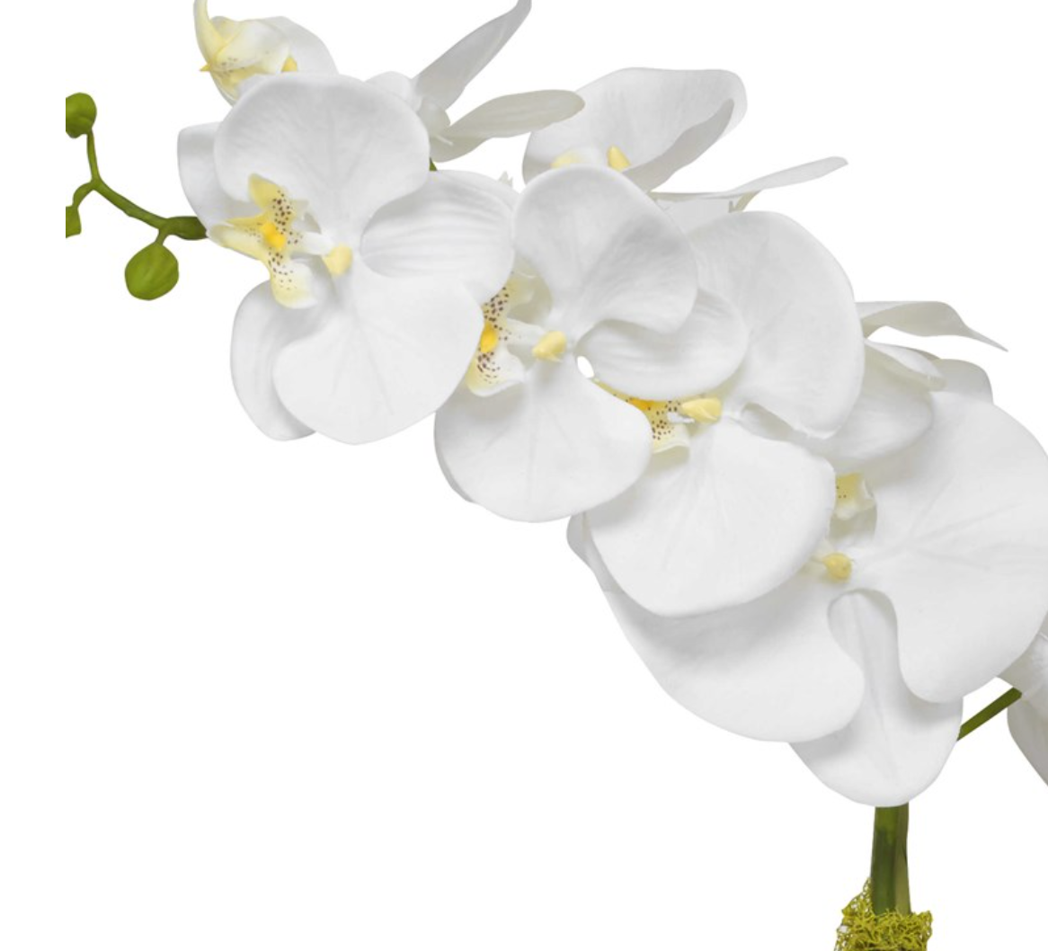 Cami Orchid Brass