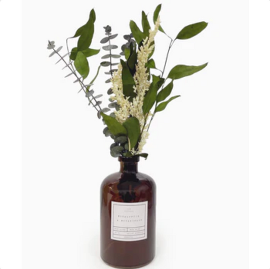 Eucalyptus & Botanicals Diffuser: Birch & Bergamot Fragrance