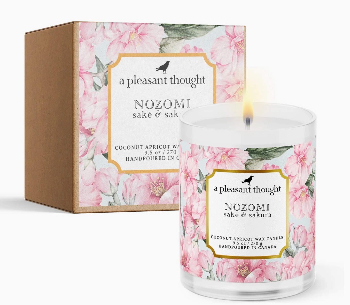 Nozomi | Saké & Sakura | Candle 100% Coconut Apricot Wax