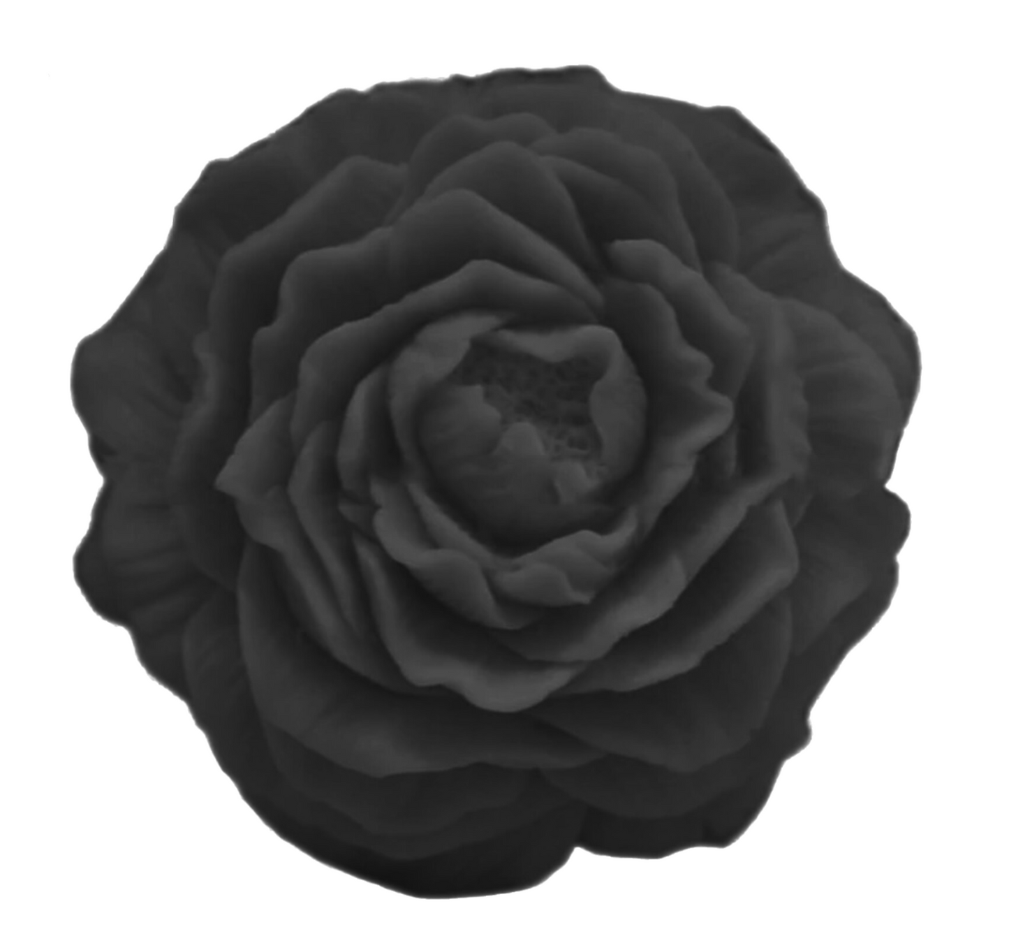 Charcoal Rose Soap
