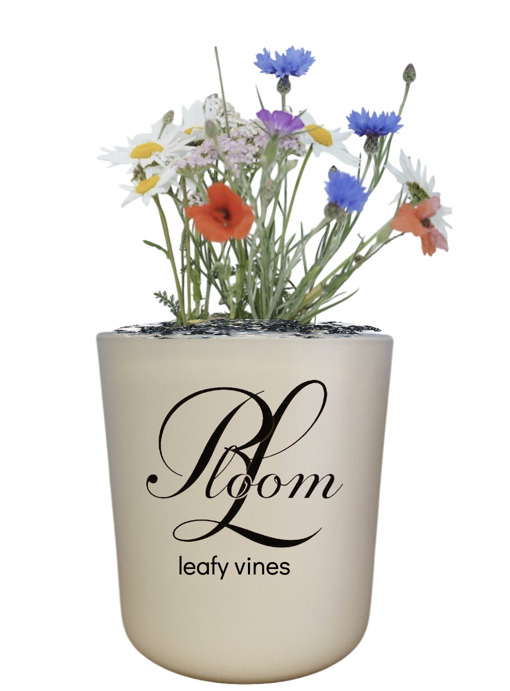 Olive Harvest - Seeded Paper Candle