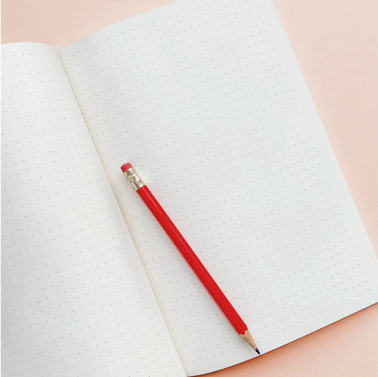 The Girls are Out Notebook