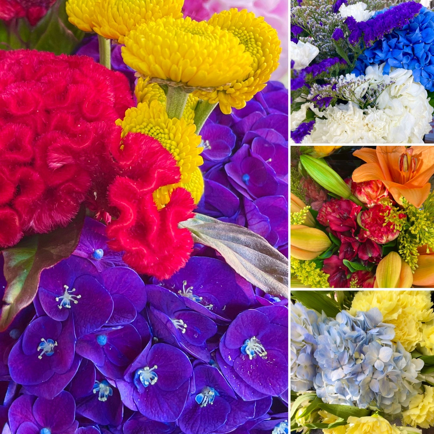 Rococo Design Monthly Floral Club