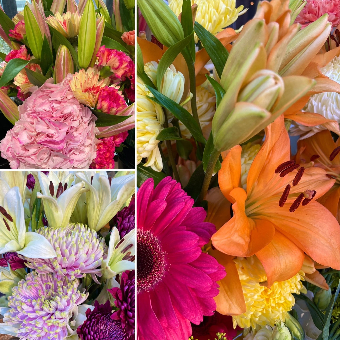 Rococo Design Monthly Floral Club