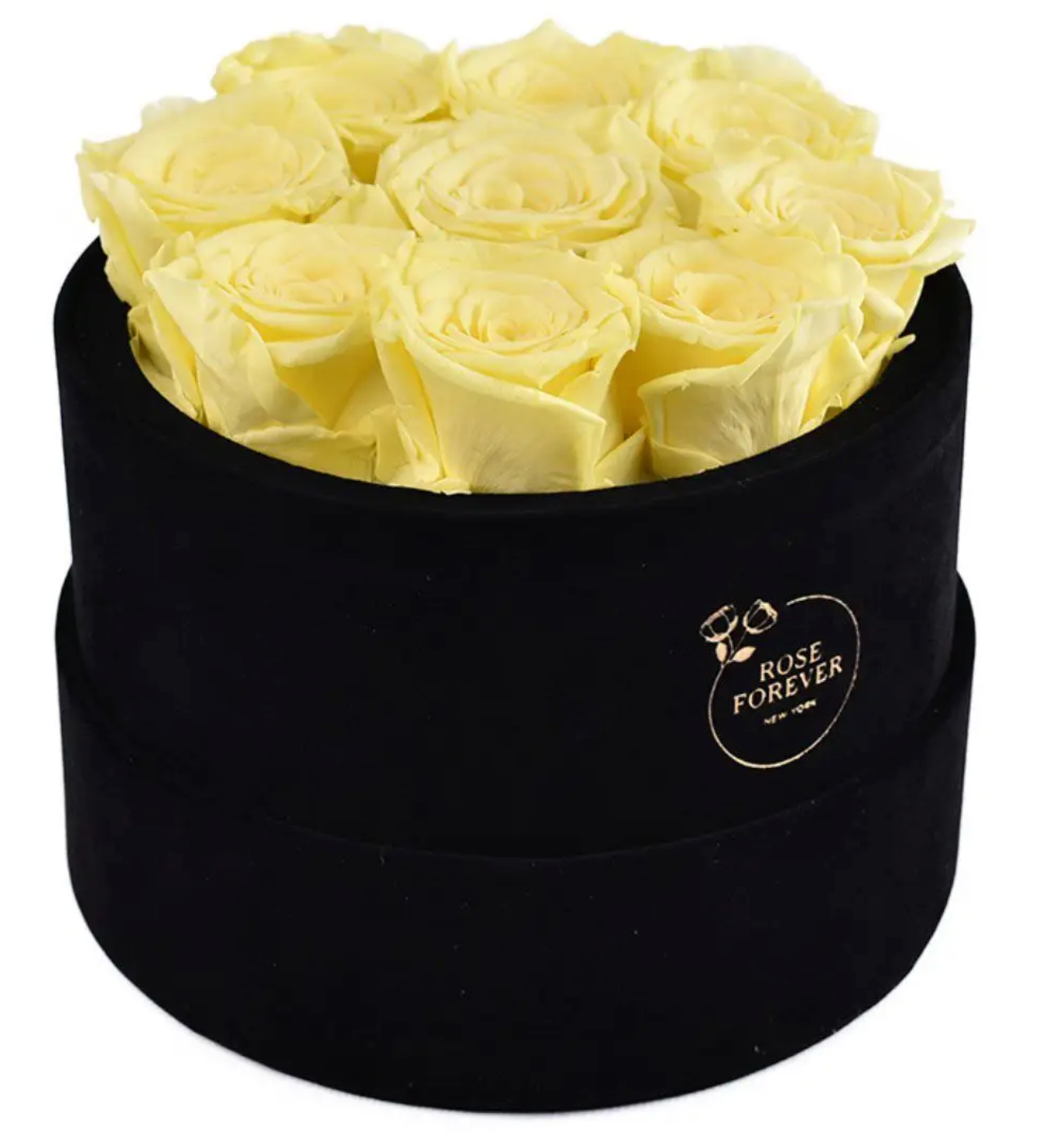 Essential Black Velvet Pale Yellow Roses Round