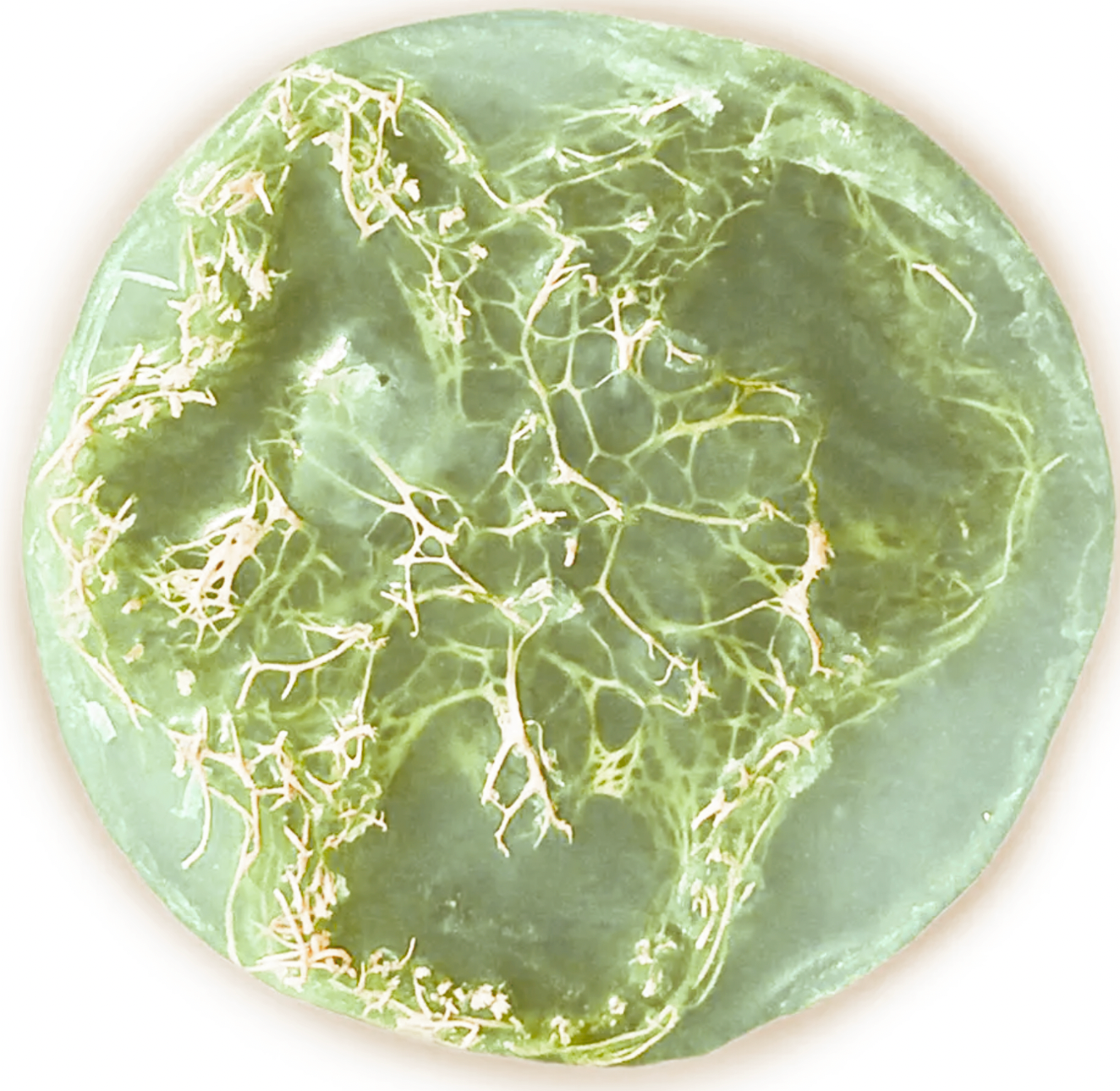 Loofah Soap - Magnolia