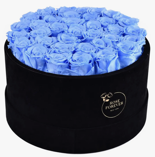 Blue Roses Black Velvet 36 Roses
