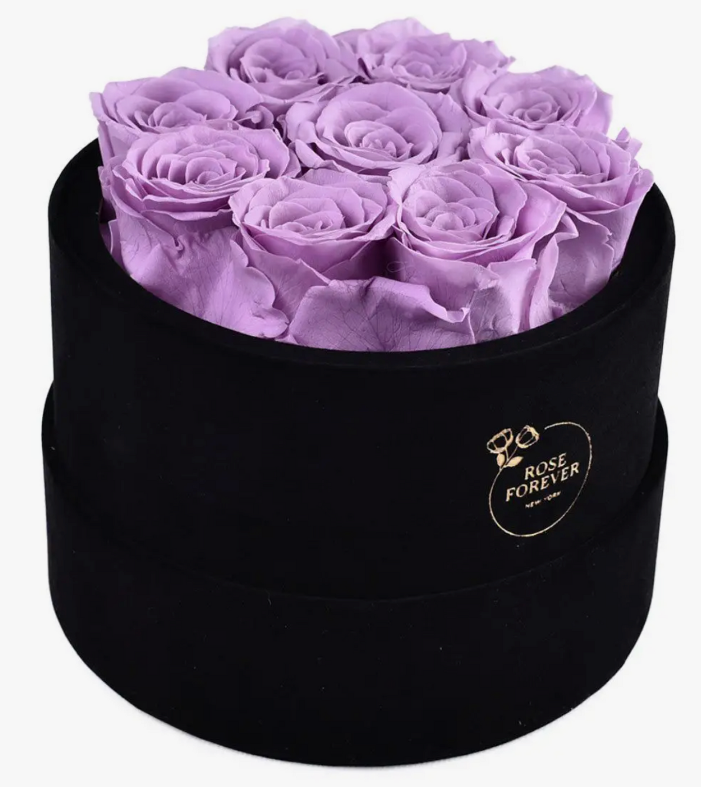 Essential Black Velvet Light Lilac Roses - Round