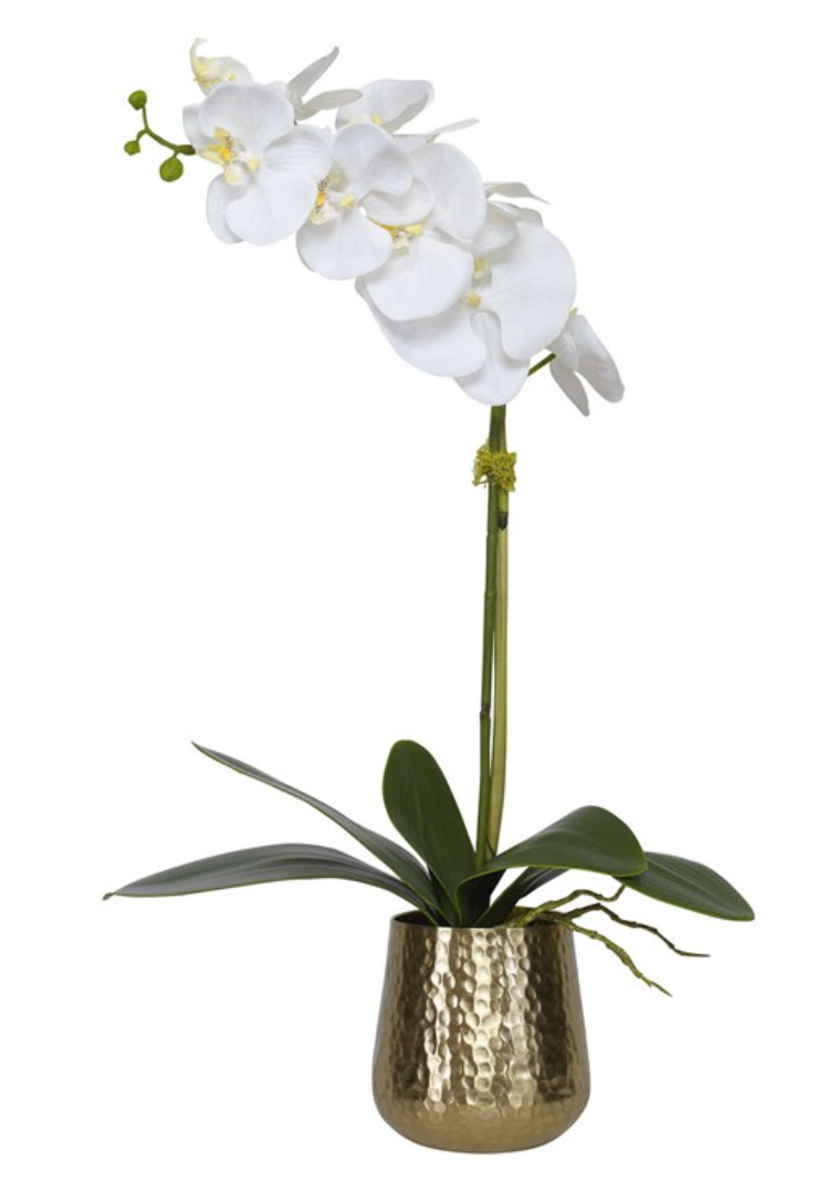Cami Orchid Brass