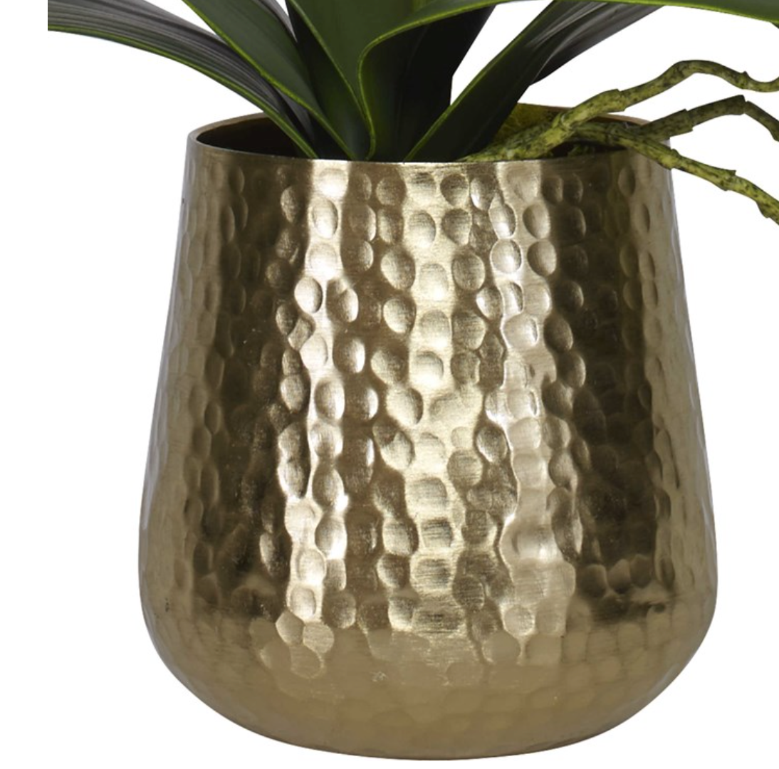 Cami Orchid Brass