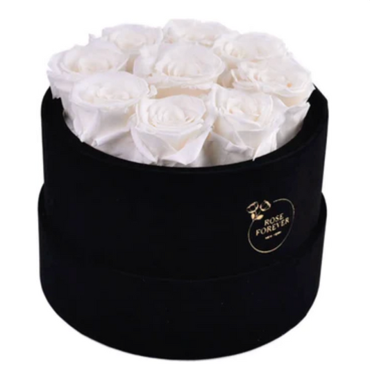 Essential Black Velvet Off White Roses Round