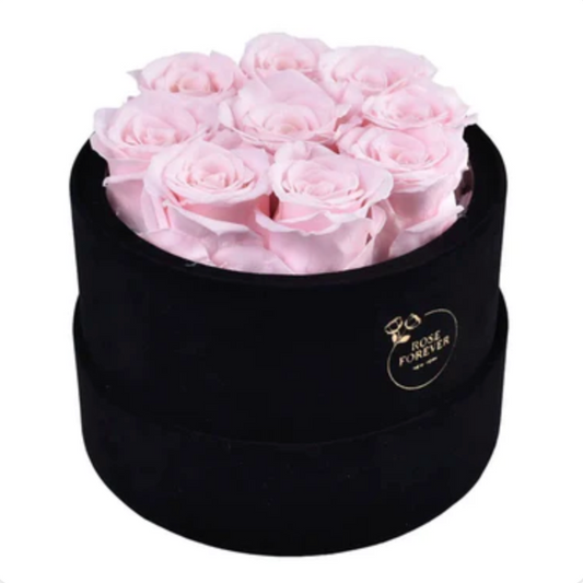 Essential Black Velvet Light Pink Roses Round