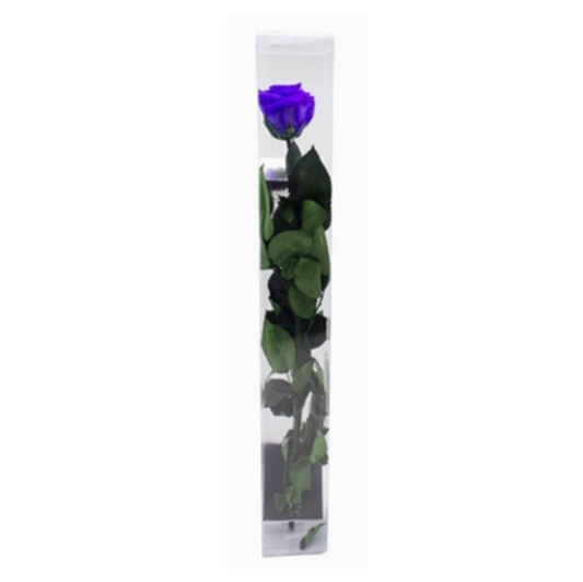 Copy of Single Preserved Rose -  Purple