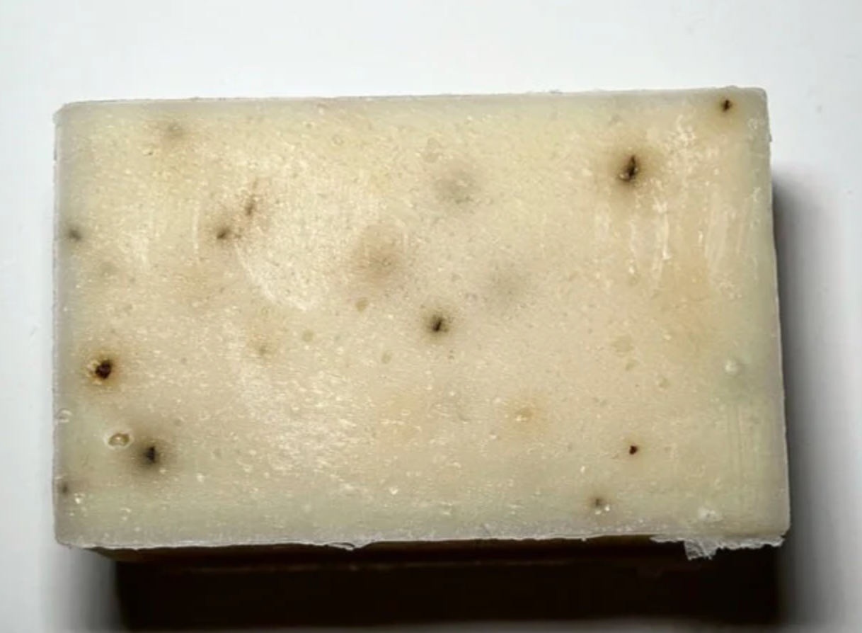 EUCALYPTUS ALOE BODY BAR W/ SCRUB POUCH