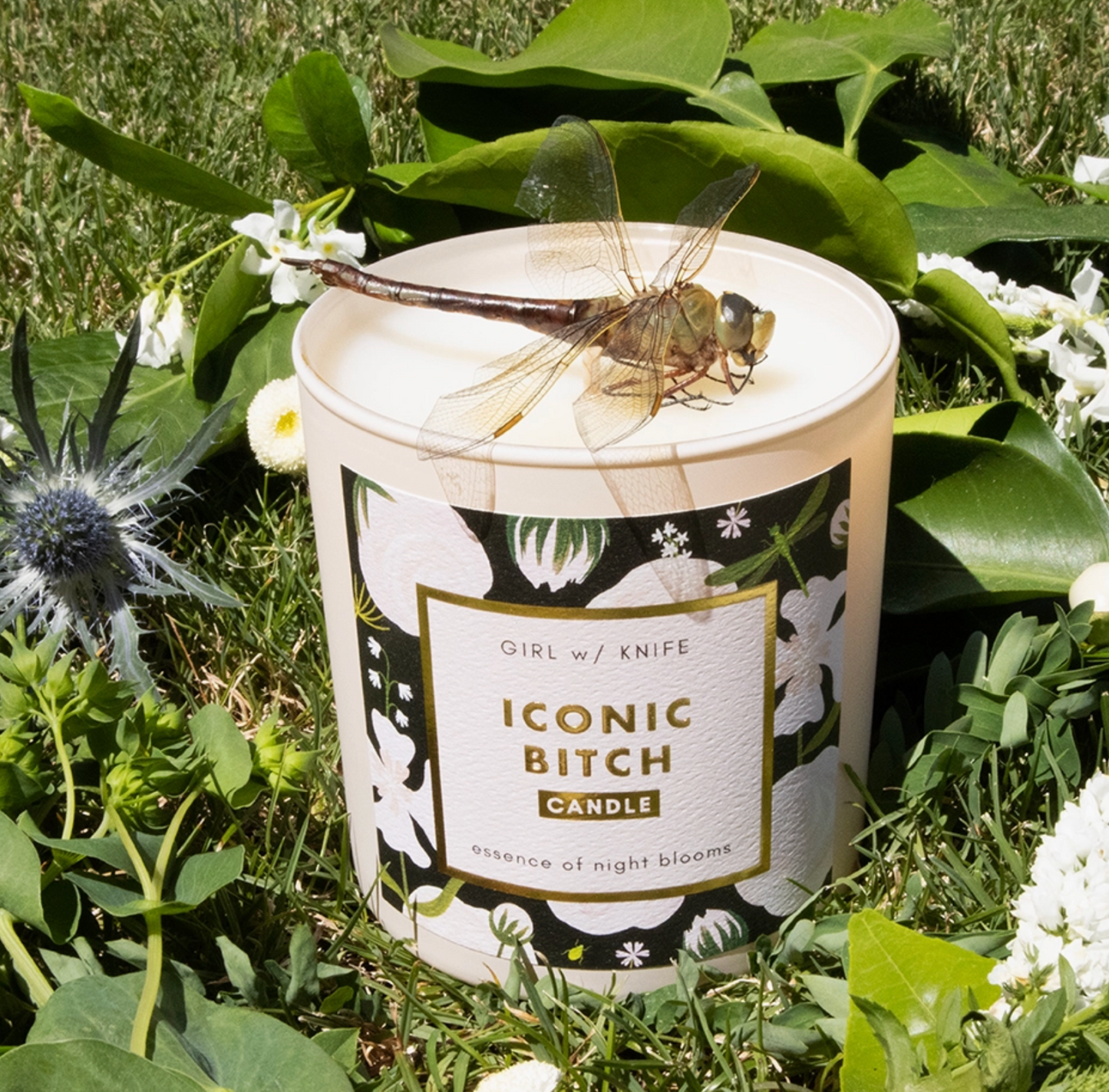 Iconic Bitch Candle - Essence of Night Blooms