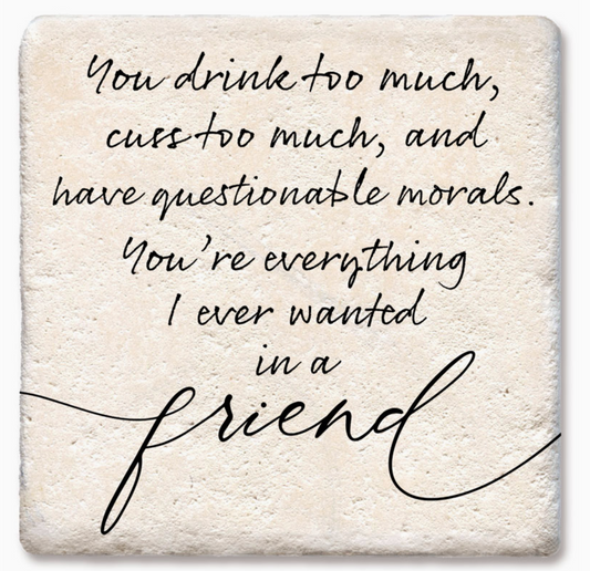 You Drink Too Much Cuss Too Much Coaster - 4pc Set