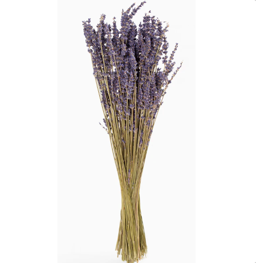 French Dried Lavender Bouquet