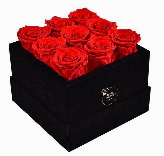 Essential Black  Velvet Box Red Roses Square