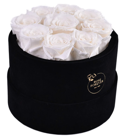Essential Black Velvet Off White Roses Round