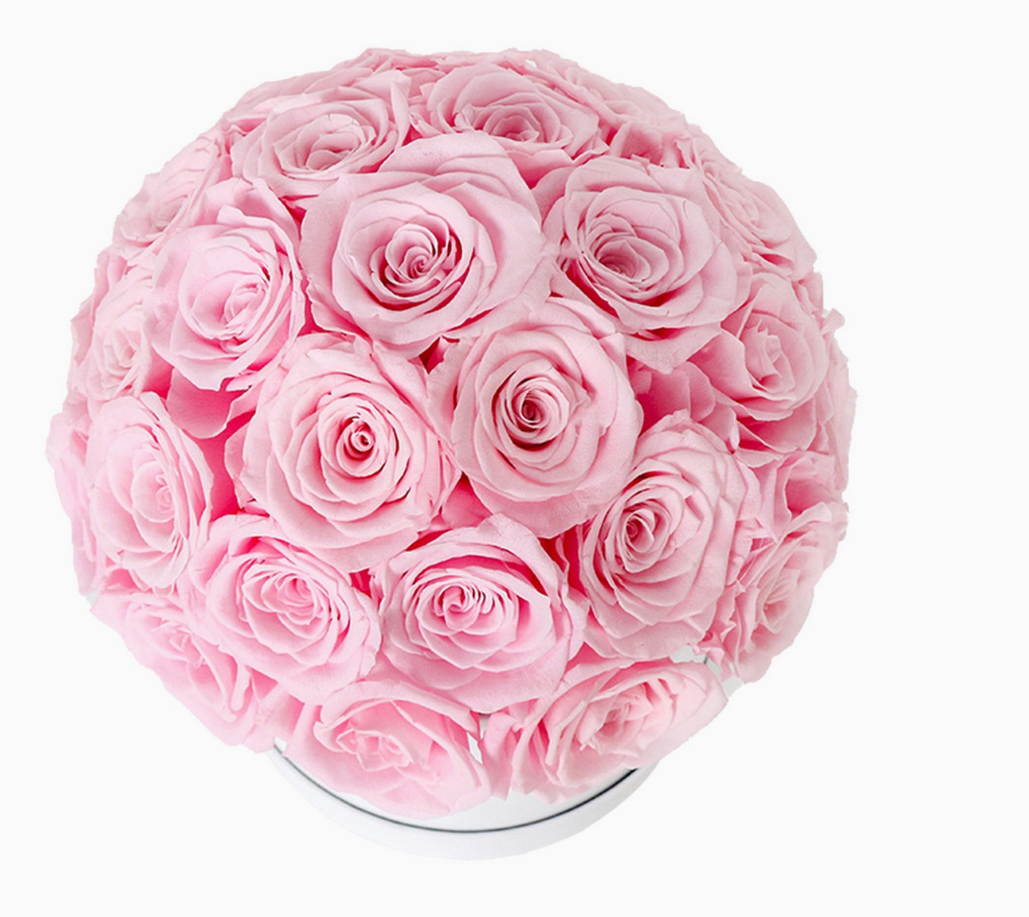 35 Pink Eternity Roses in White Dome Box – Luxury Preserved Flowers