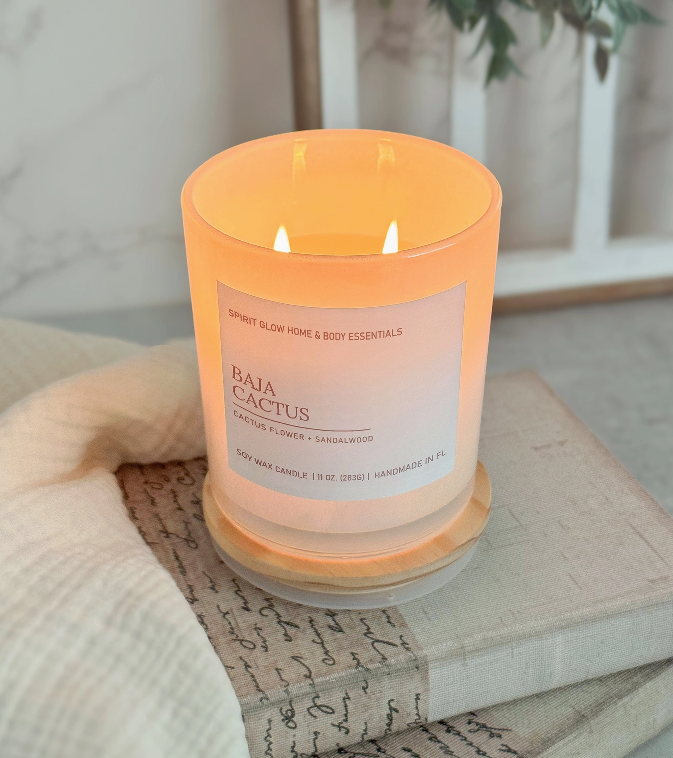 Baja Cactus -  Soy Candle