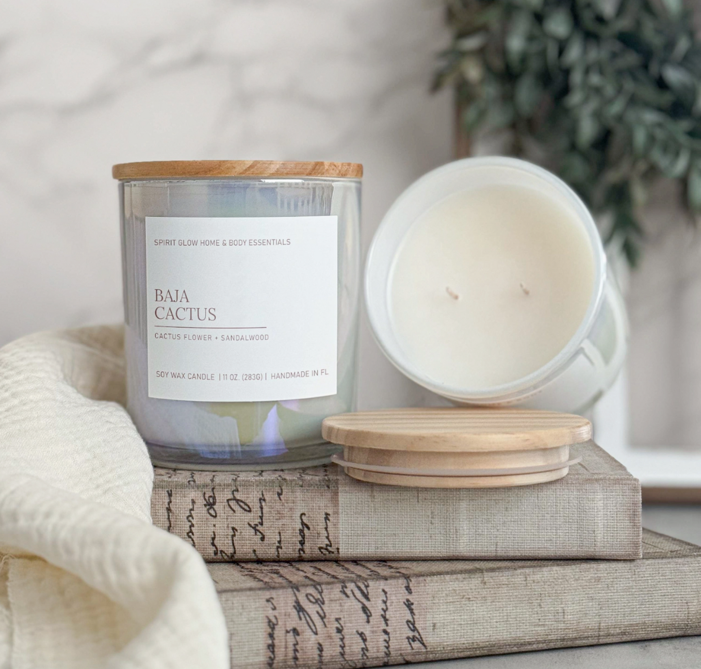 Baja Cactus -  Soy Candle