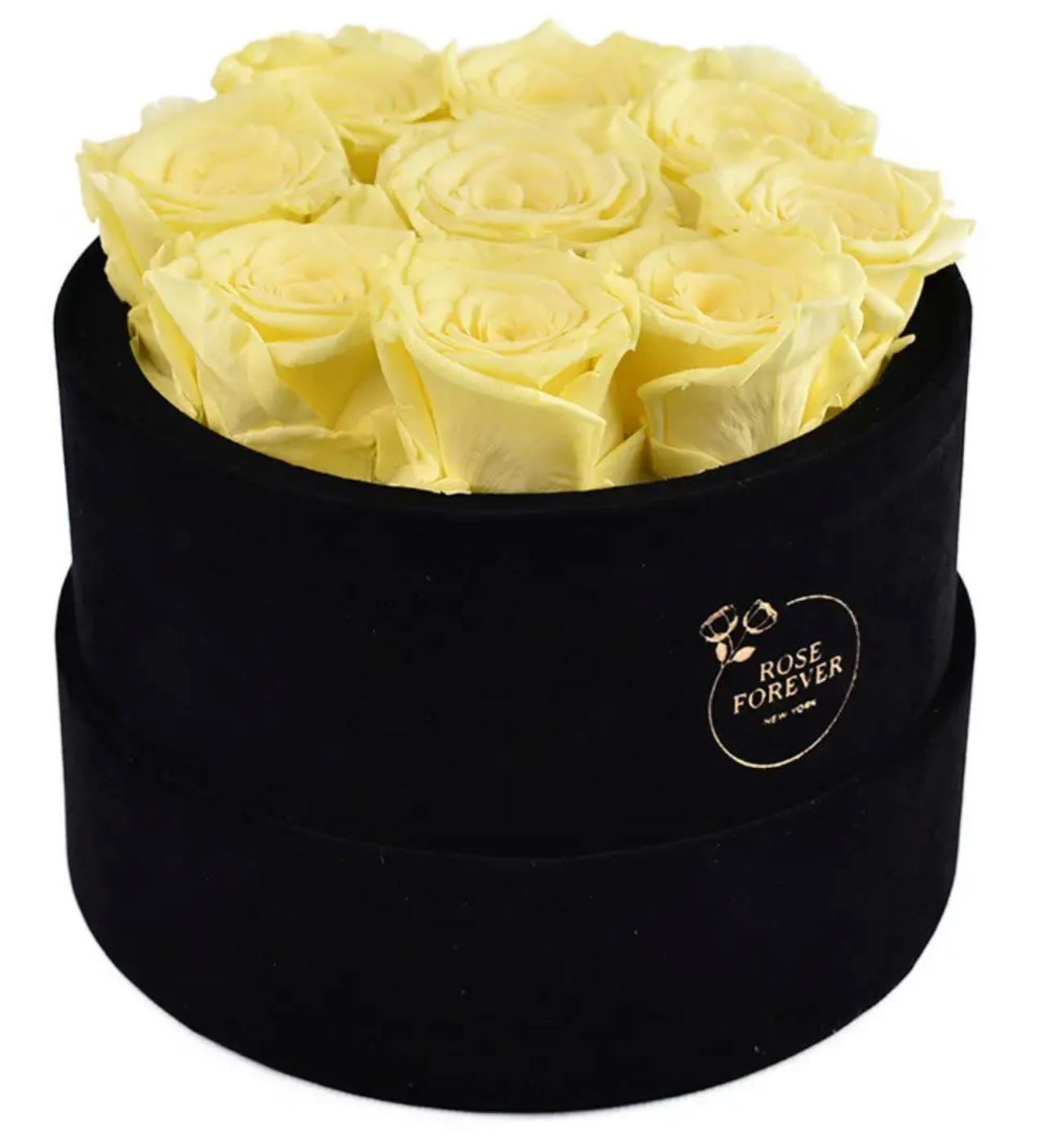 Essential Black Velvet Yellow Roses Round