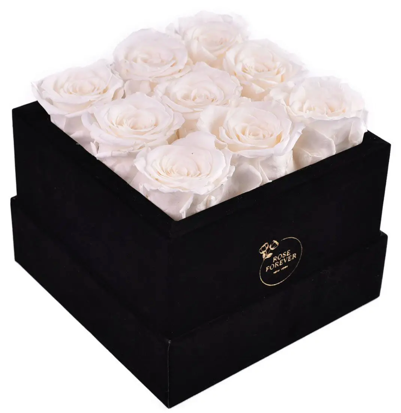 Essential Black Velvet White Roses Square