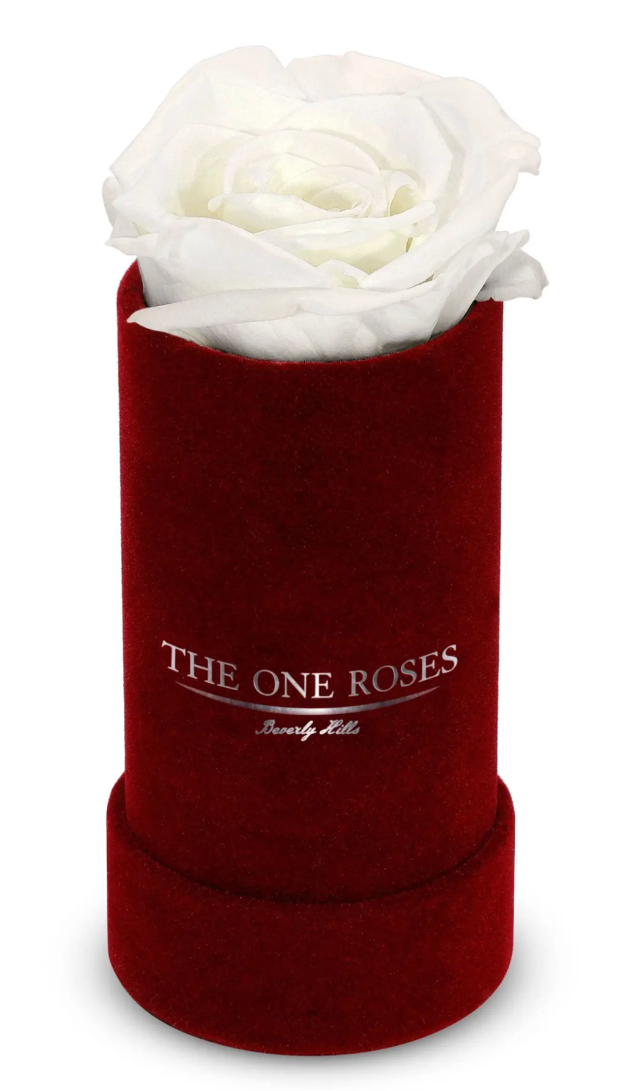 White Single Mini Rose