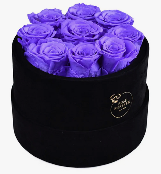 Essential Black Velvet Dark Lilac Roses - Round