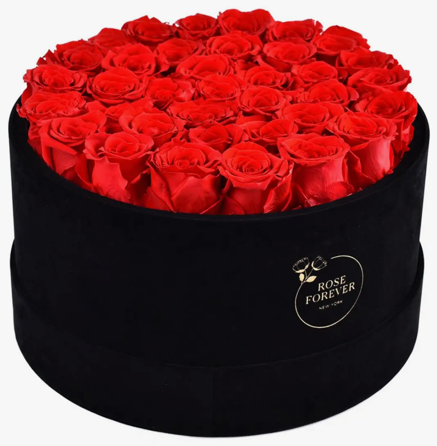 Red Forever Roses  Black Velvet Box 36 Roses
