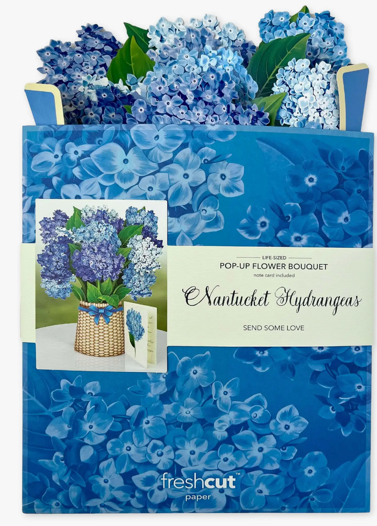 Nantucket Hydrangeas Pop-up Greeting Cards